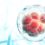 🎯🎯🎯Liệu pháp tế bào NK (Natural Killer Cells) trong điều trị ung thư: Xu hướng mới và cơ hội tiềm năng